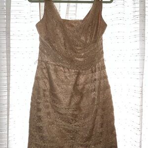 Express Elegant Brown Lace Dress